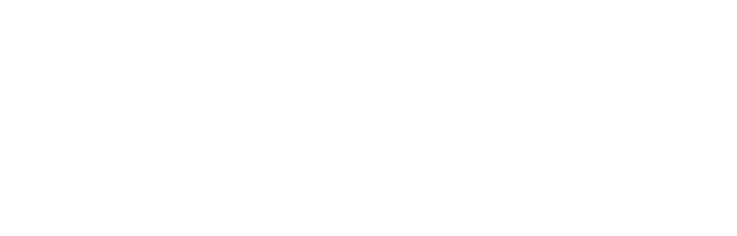 Rhino Pest Control Marketing